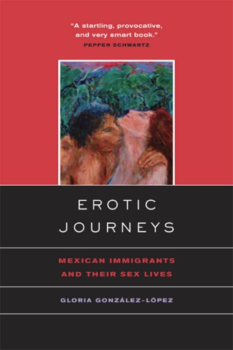 Cover image for book Erotic Journeys