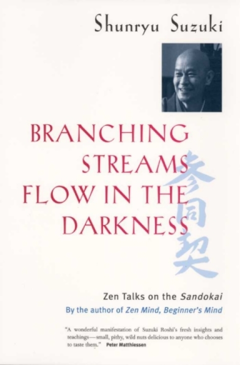 Cover image for book Branching Streams Flow in the Darkness