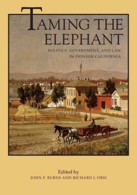 Cover image for book Taming the Elephant