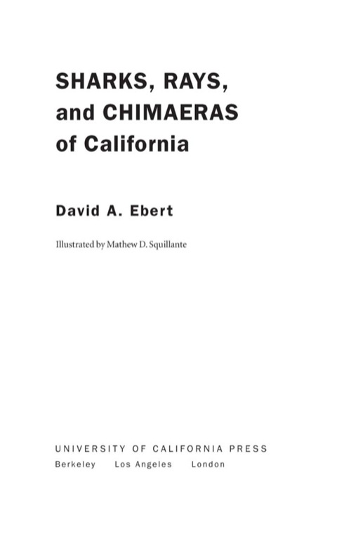Cover image for book Sharks, Rays, and Chimaeras of California
