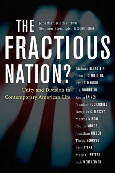 Cover image for book The Fractious Nation?