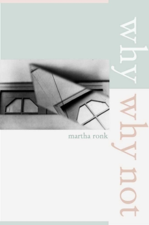 Cover image for book Why/Why Not