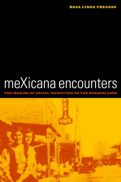 Cover image for book meXicana Encounters