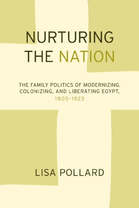 Cover image for book Nurturing the Nation