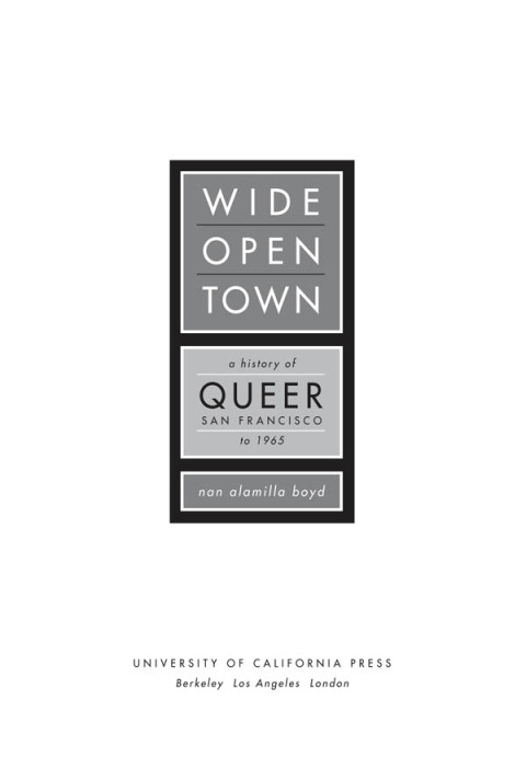 Cover image for book Wide-Open Town