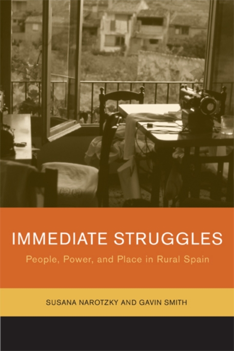 Cover image for book Immediate Struggles
