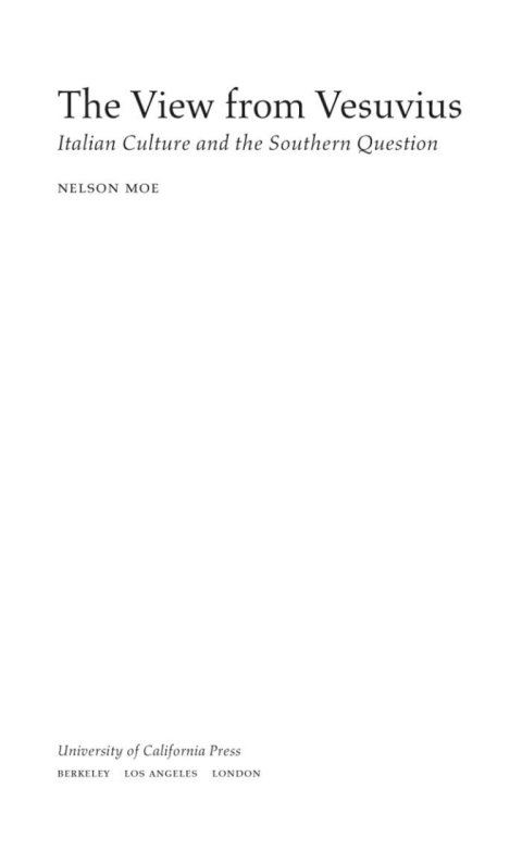 Cover image for book The View from Vesuvius