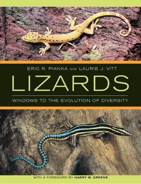 Cover image for book Lizards: Windows to the Evolution of Diversity
