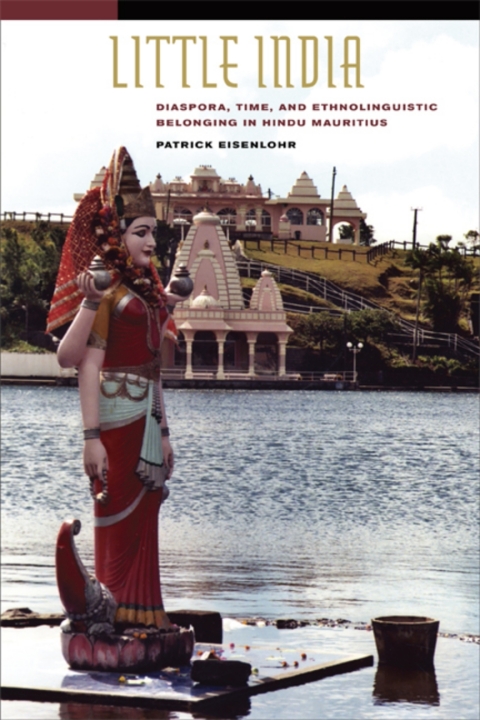 Cover image for book Little India