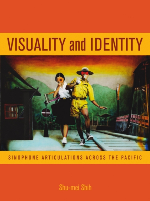 Cover image for book Visuality and Identity