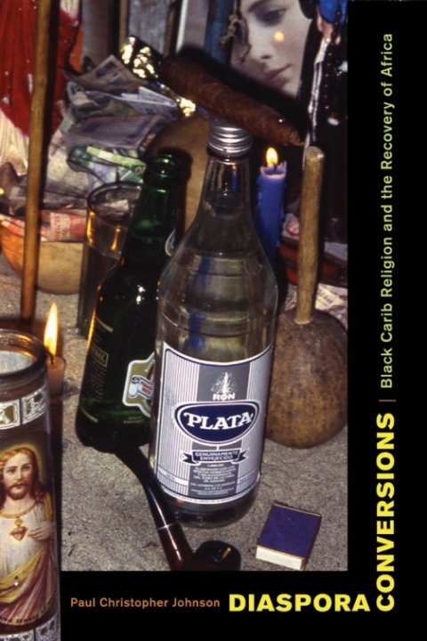 Cover image for book Diaspora Conversions