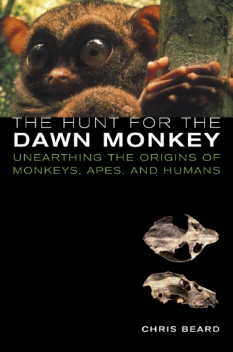 Cover image for book The Hunt for the Dawn Monkey