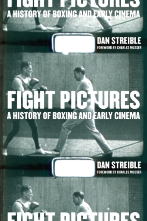 Cover image for book Fight Pictures