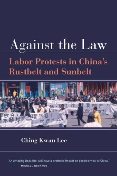 Cover image for book Against the Law