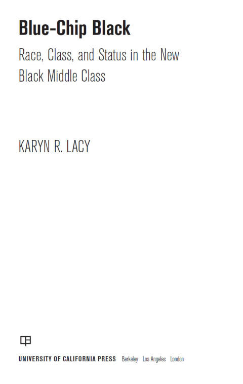 Cover image for book Blue-Chip Black