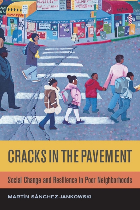 Cover image for book Cracks in the Pavement