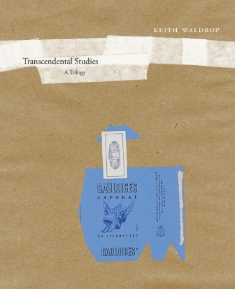 Cover image for book Transcendental Studies