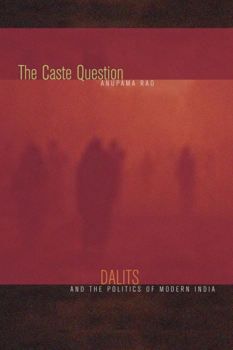 Cover image for book The Caste Question
