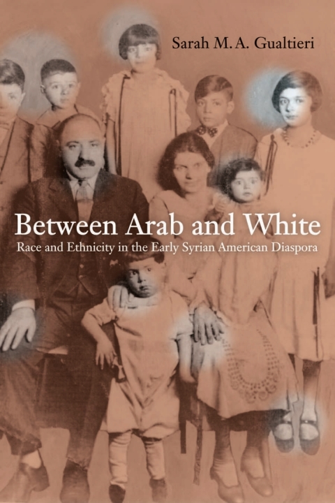 Cover image for book Between Arab and White