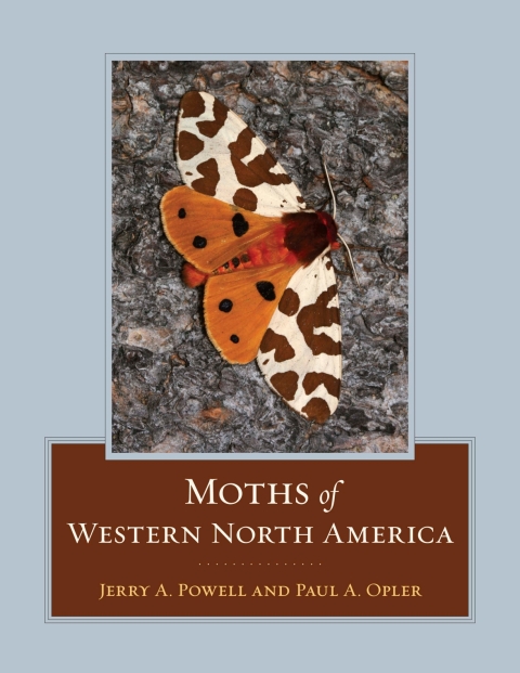 Cover image for book Moths of Western North America