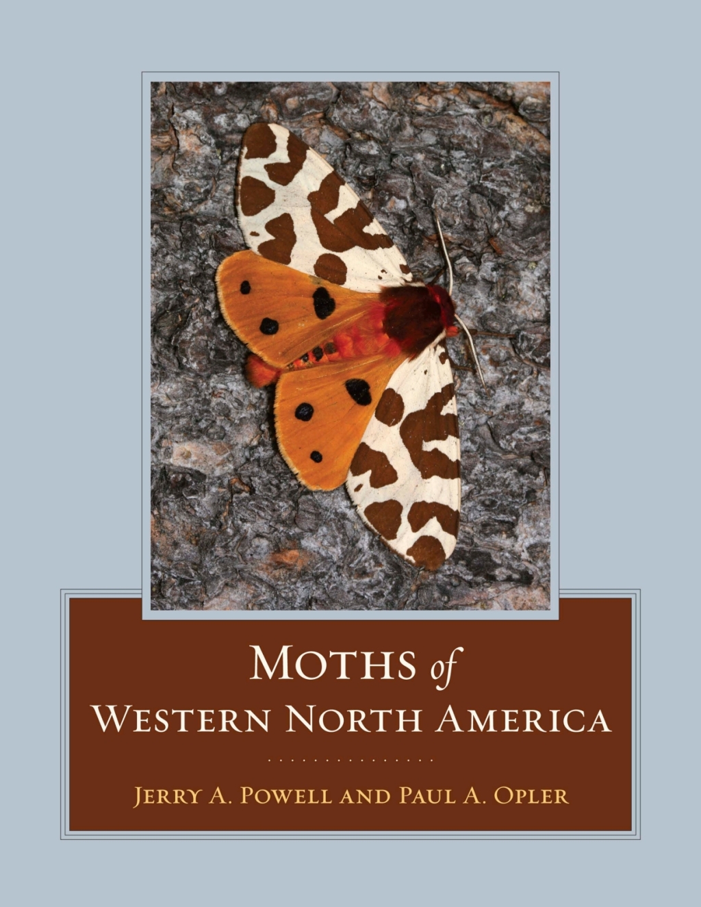 Page Fidelity Moths of Western North America; $110.94