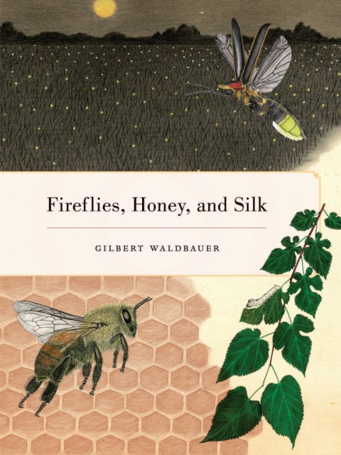 Cover image for book Fireflies, Honey, and Silk