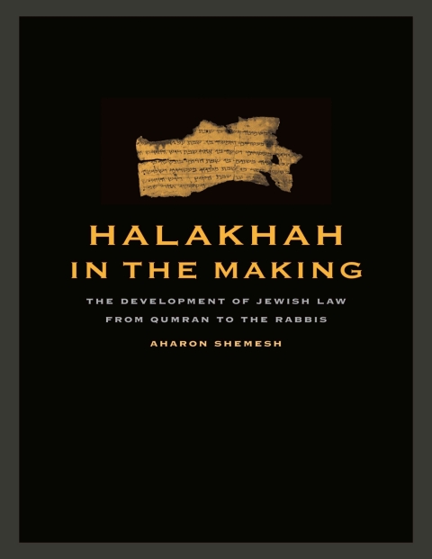 Cover image for book Halakhah in the Making