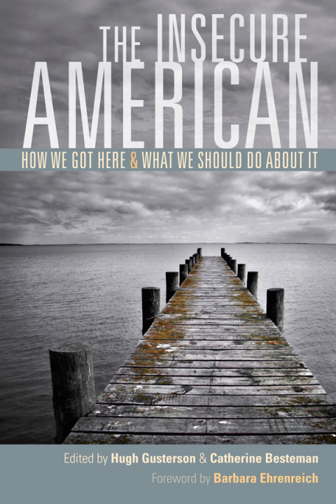 Cover image for book The Insecure American
