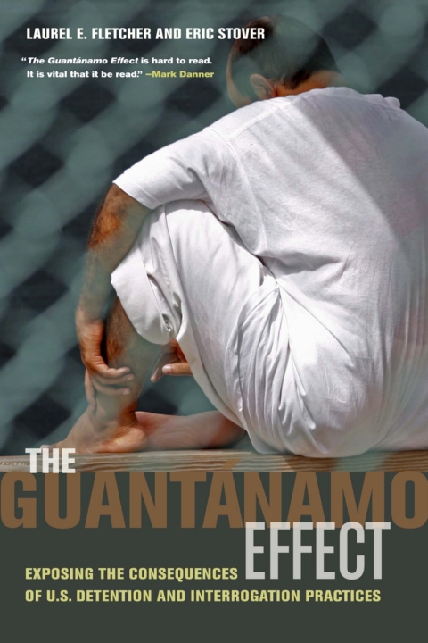Cover image for book The Guantanamo Effect