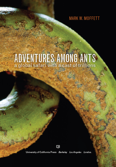 Cover image for book Adventures among Ants