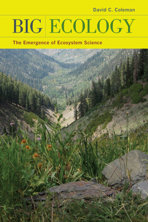 Cover image for book Big Ecology