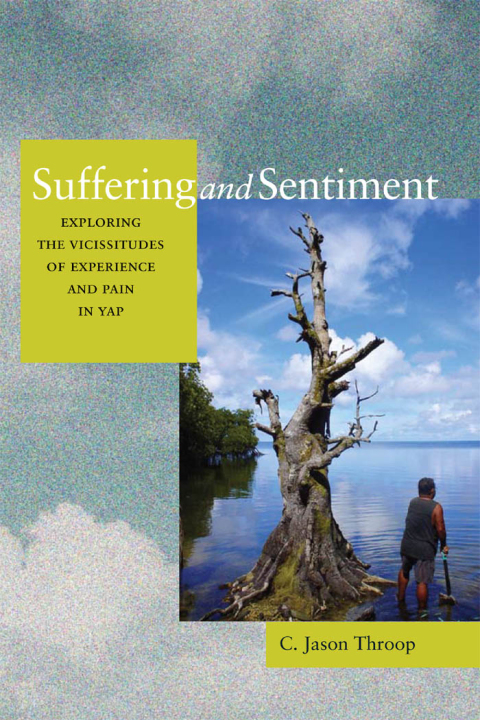 Cover image for book Suffering and Sentiment