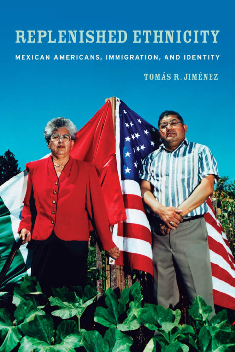 Cover image for book Replenished Ethnicity