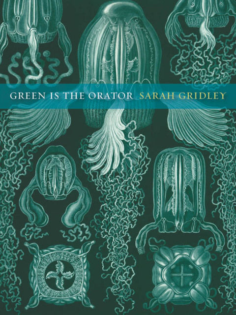 Cover image for book Green is the Orator