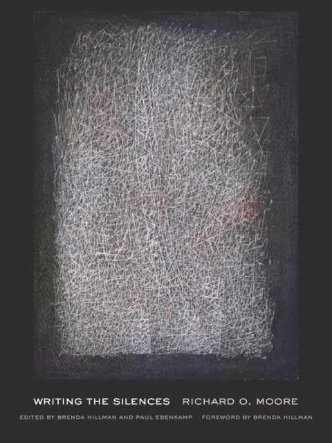 Cover image for book Writing the Silences