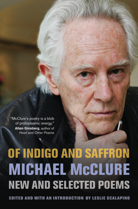 Cover image for book Of Indigo and Saffron