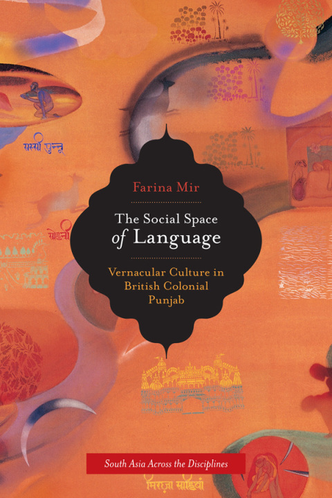 Cover image for book The Social Space of Language
