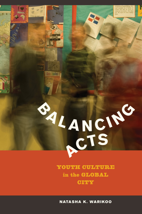 Cover image for book Balancing Acts