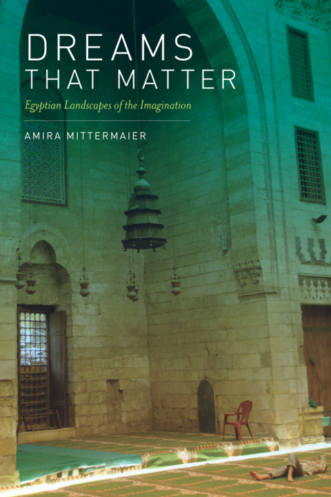 Cover image for book Dreams That Matter