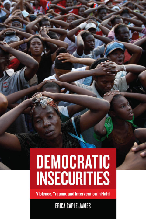 Cover image for book Democratic Insecurities