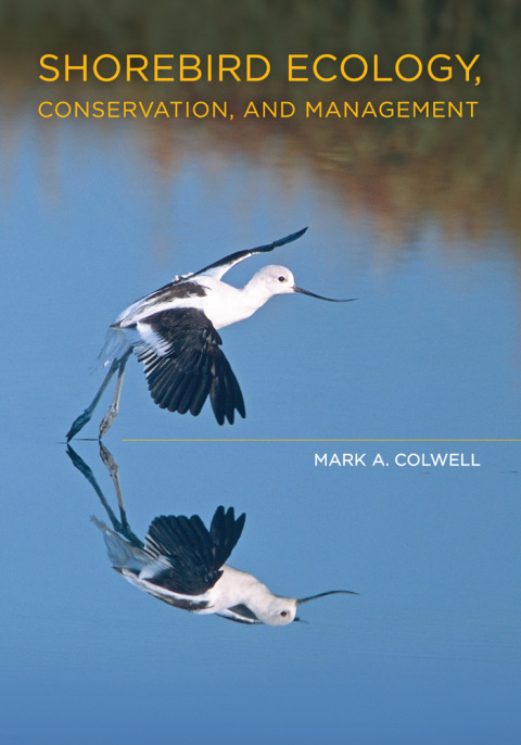 Cover image for book Shorebird Ecology, Conservation, and Management