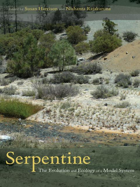 Cover image for book Serpentine