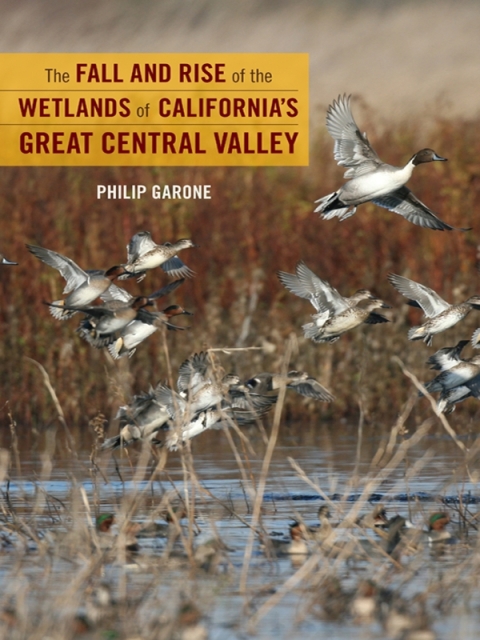 Cover image for book The Fall and Rise of the Wetlands of California's Great Central Valley