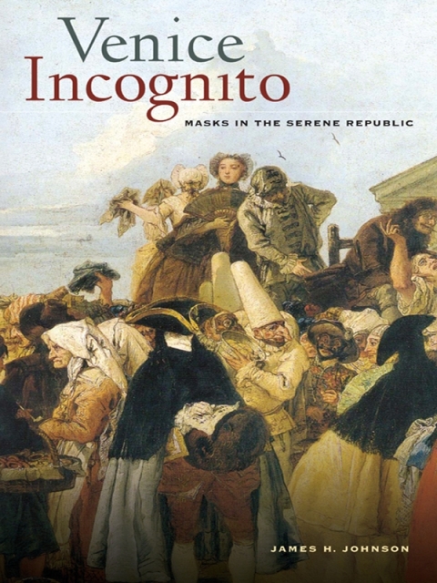 Cover image for book Venice Incognito