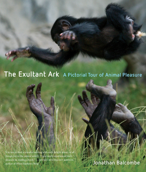 Cover image for book The Exultant Ark