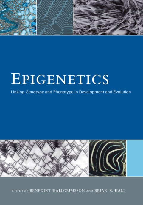Cover image for book Epigenetics