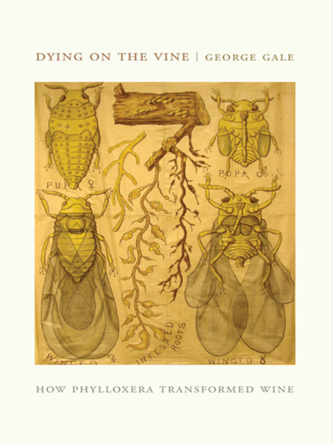 Cover image for book Dying on the Vine
