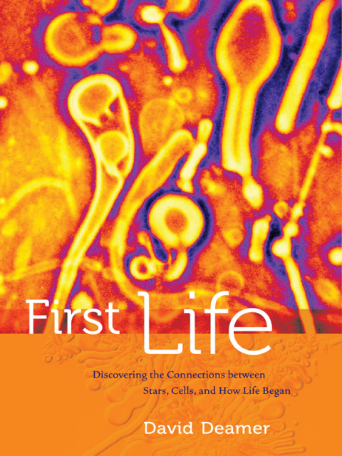 Cover image for book First Life
