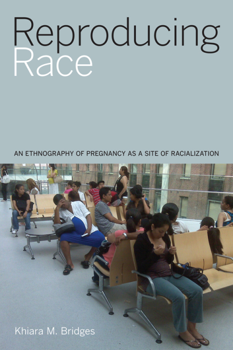 Cover image for book Reproducing Race