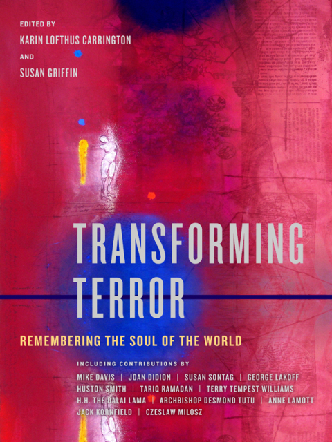 Cover image for book Transforming Terror